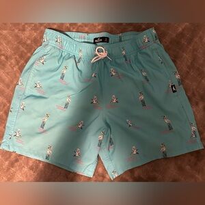 Hollister Swim Trunks